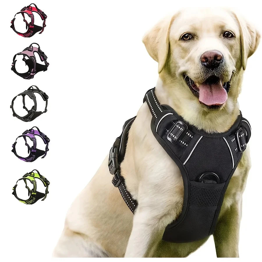 Travel & Walking gear for dogs and cats