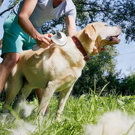 Self-Cleaning Grooming Brush for Dogs & Cats
