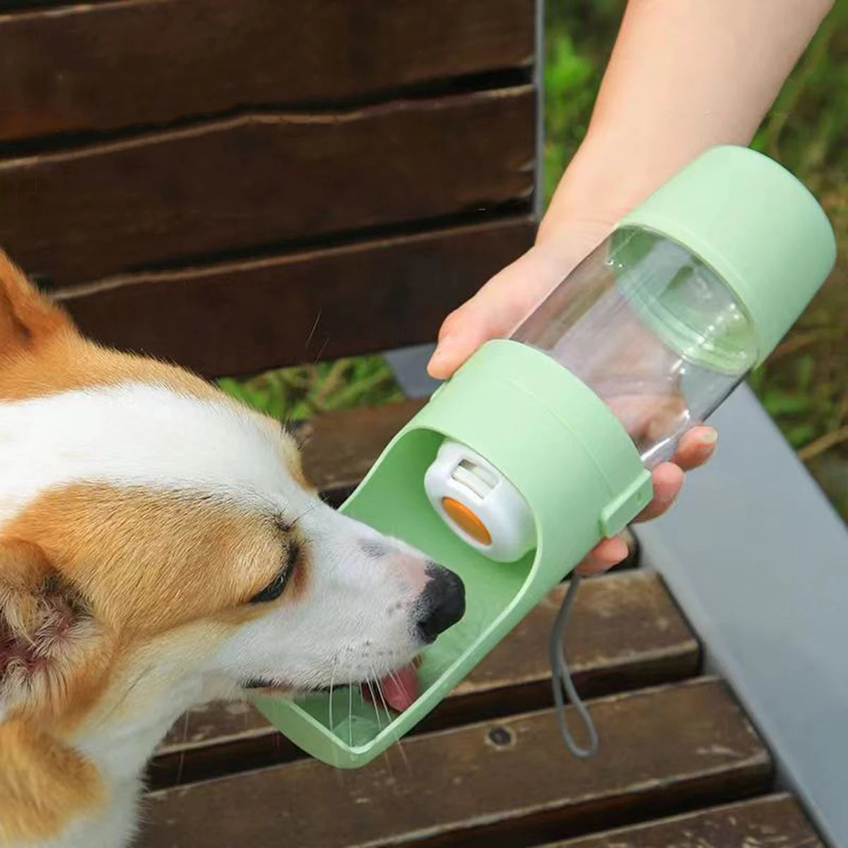 Portable Pet Water Bottle with Feeder