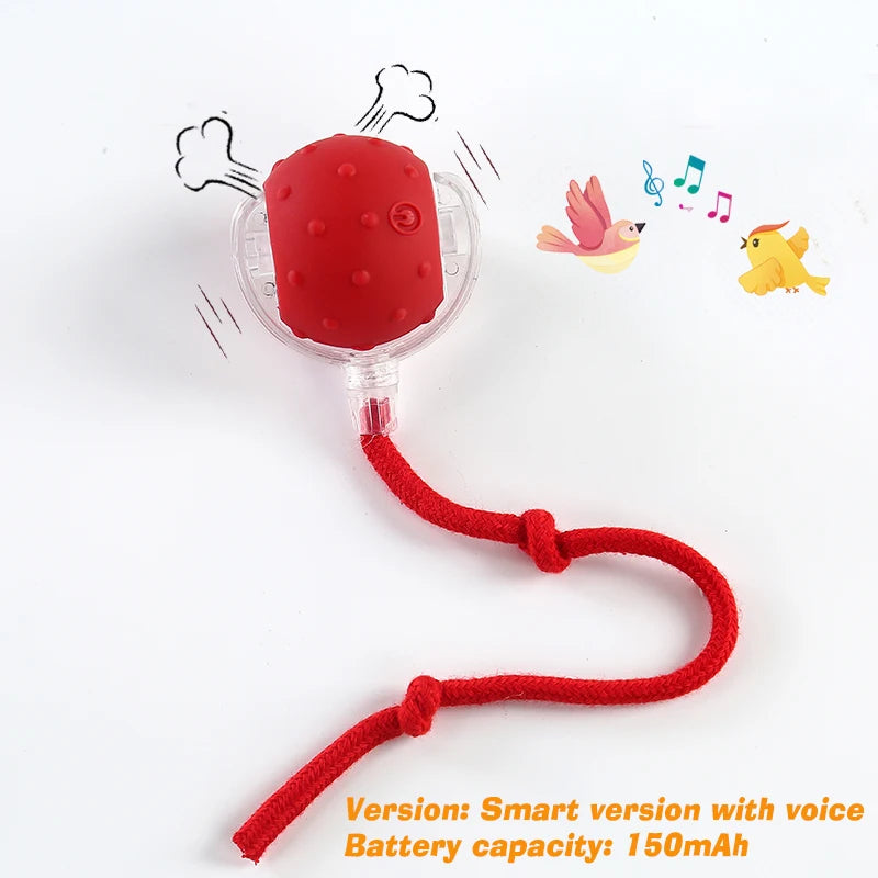 CalmPaws Smart Chase - Automatic Rolling Interactive Dog Toy