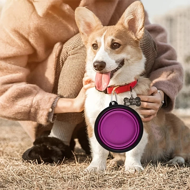Collapsible Silicone Pet Travel Bowl