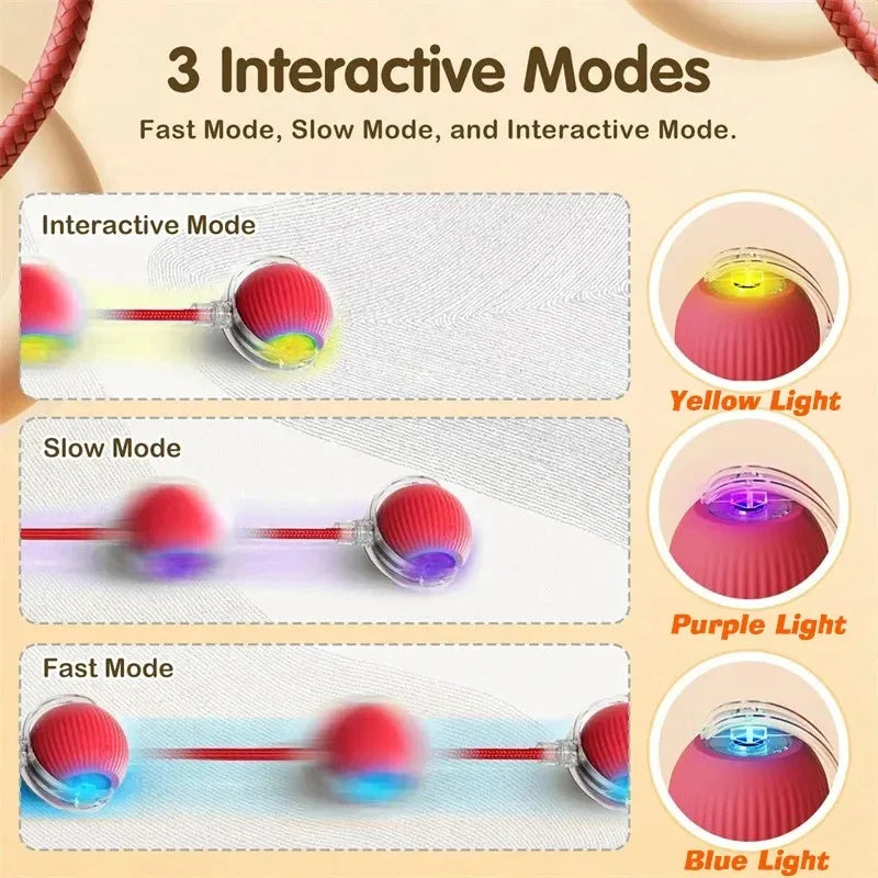 CalmPaws Smart Chase - Automatic Rolling Interactive Dog Toy