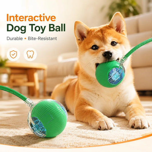 Smart Chase Auto-Rolling Interactive Dog Toy