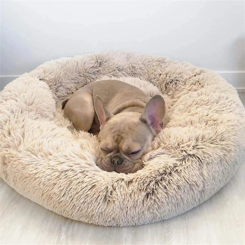 CalmPaws™ Anti-Anxiety Calming Pet Bed